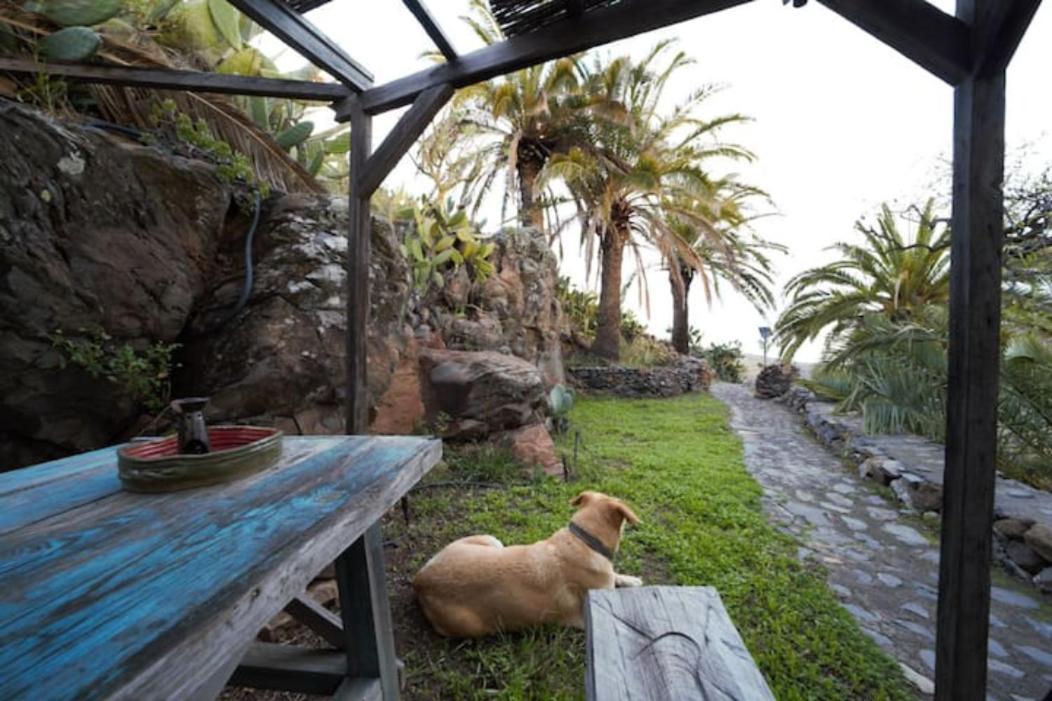 Casa Buenavida Holiday home